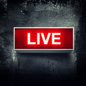 igor.stevanovic / Shutterstock.com