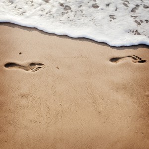Sundari / Shutterstock.com