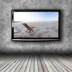 Semisatch / Shutterstock.com