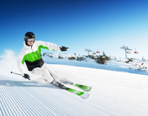 IM_photo / Shutterstock.com